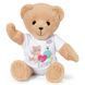 М'яка іграшка Baby Born &ndash; Ведмедик Тедді 834435 фото 1