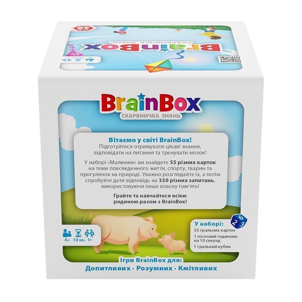 Пізнавальна гра - BrainBox Малюнки BZZBRPI01UA фото